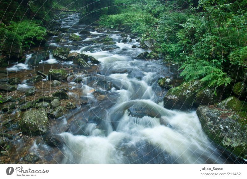 Bachlauf Umwelt Natur Landschaft Pflanze Urelemente Erde Wasser Fluss ästhetisch weich Tschechien Riesengebirge grün Außenaufnahme Wald Stein Felsen