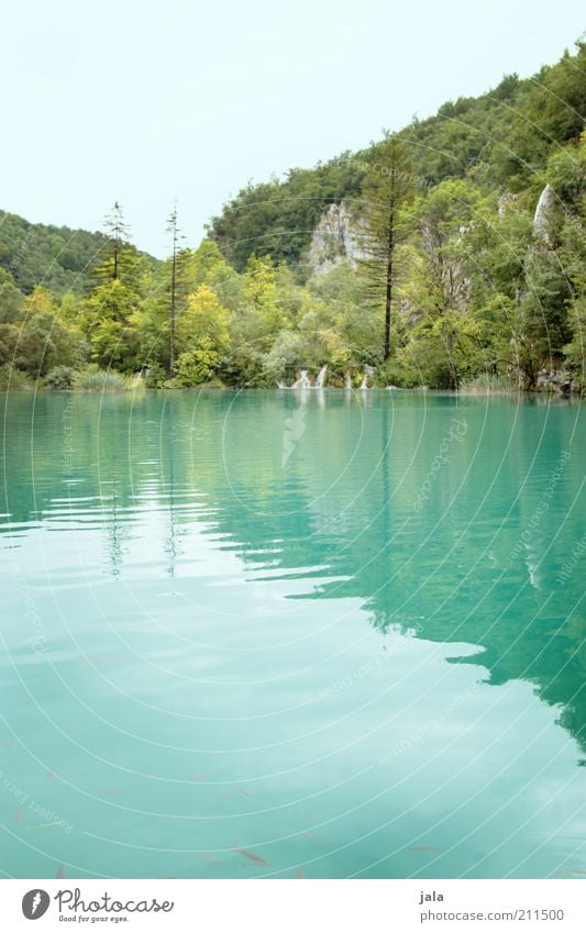 natur. Freiheit Natur Landschaft Wasser Himmel Pflanze Baum Grünpflanze Wald See Wasserfall Kroatien genießen ästhetisch außergewöhnlich natürlich blau grün