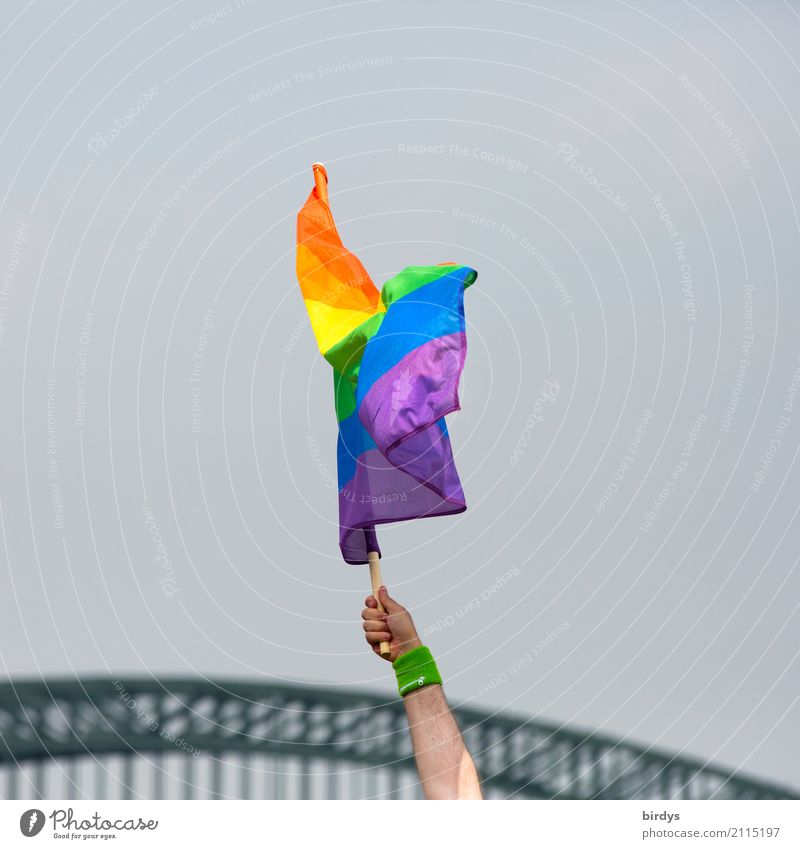 Regenbogenfahne Lifestyle Veranstaltung Christopher Street Day maskulin Arme 1 Mensch Sommer Zeichen Fahne Regenbogenflagge leuchten oben positiv mehrfarbig