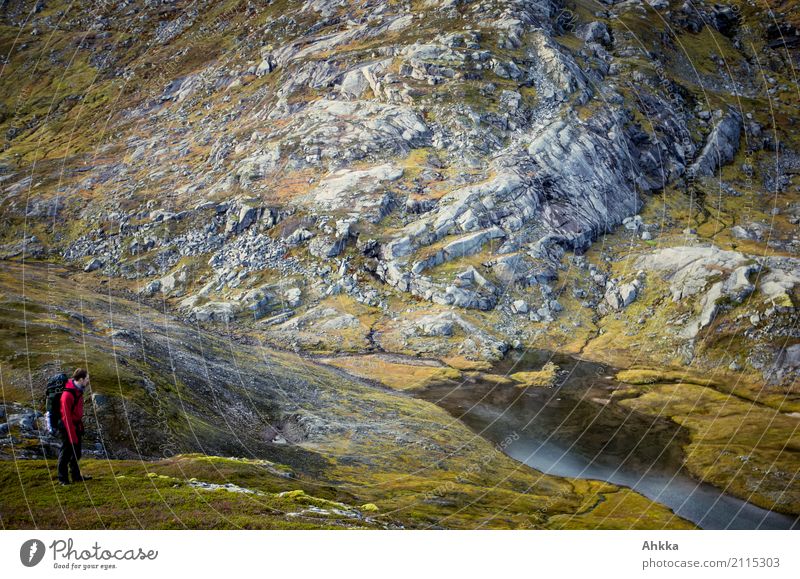 Faszination Norden Abenteuer Ferne Expedition Landschaft Urelemente Herbst Klima Felsen Schlucht Moor Sumpf Norwegen beobachten Denken entdecken authentisch
