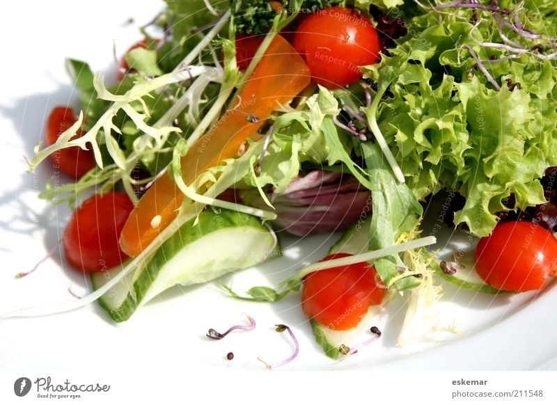 Salat Lebensmittel Gemüse Ernährung Teller Gesundheit frisch weiß Tomate Chicorée angerichtet serviert Gurke Petersilie Vorspeise Rohkost Vitamin vitaminreich