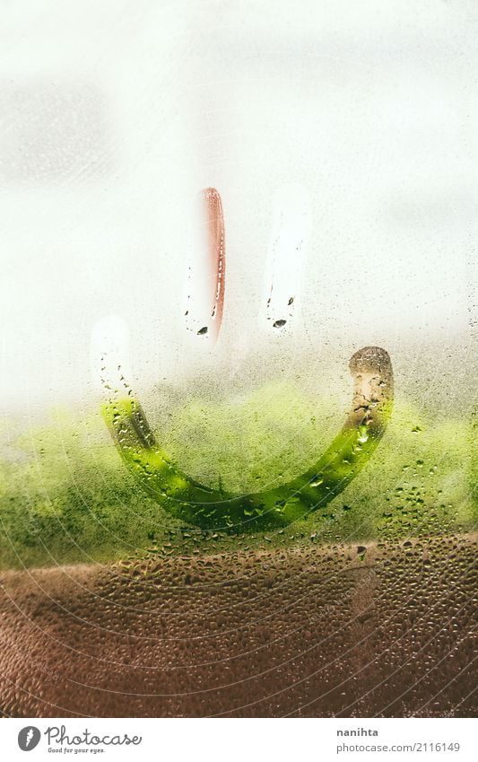 Smileygesicht in einem nassen Fenster Gesicht Natur Pflanze Wasser Wassertropfen Frühling Wetter Nebel Regen Glas Kristalle Lächeln Coolness Freundlichkeit