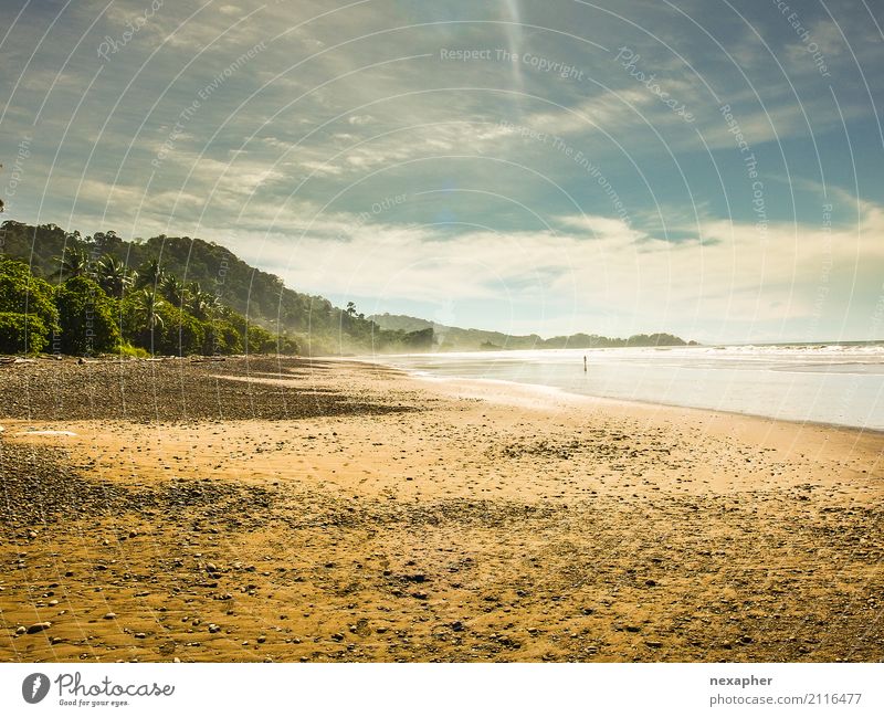Tropischer Strand mit warmen Sonnenlicht Ferien & Urlaub & Reisen Tourismus Ausflug Abenteuer Ferne Umwelt Natur Landschaft Sand Wasser Sonnenaufgang