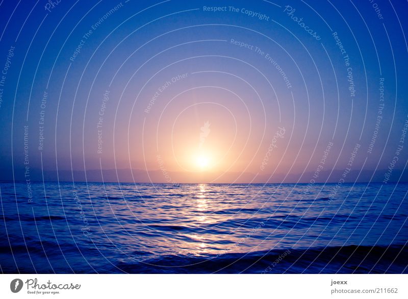 Untergang Ferne Sommer Meer Wellen Wasser Himmel Sonne Sonnenaufgang Sonnenuntergang Sonnenlicht Schönes Wetter Küste groß Unendlichkeit blau gelb gold violett
