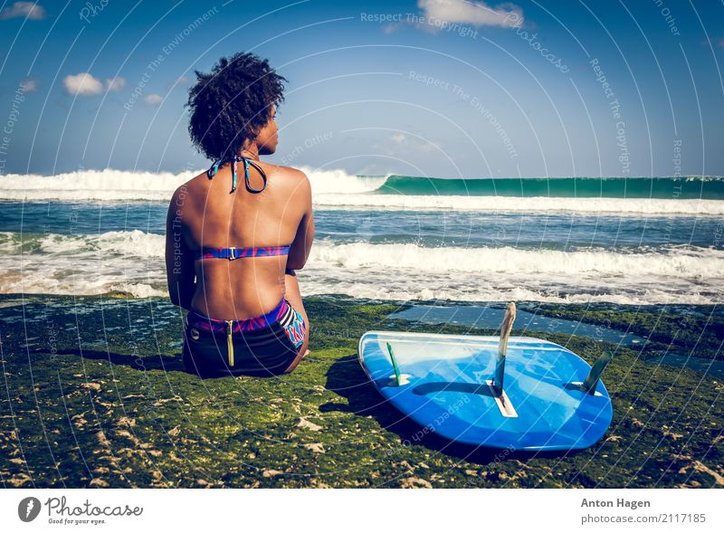 Surfermädchen auf grünem Korallenriff Junge Frau Jugendliche 1 Mensch 18-30 Jahre Erwachsene Ferien & Urlaub & Reisen Konkurrenz Kraft Pause Surfbrett sitzen