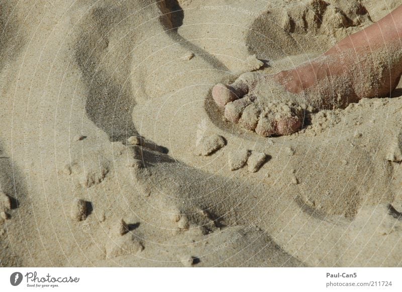 liegen bleiben Haut Fuß Sand Sommer Strand Zufriedenheit Ferien & Urlaub & Reisen Farbfoto Gedeckte Farben Außenaufnahme Tag ruhig Erholung Zehen Detailaufnahme