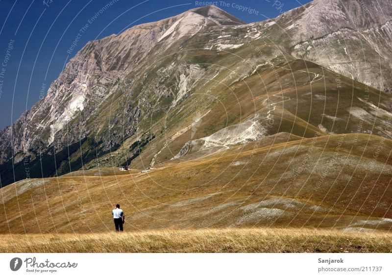 el3mentar Mensch maskulin 1 Natur Landschaft Gras Hügel Felsen Alpen Berge u. Gebirge Gipfel Italien entdecken Erholung Ferien & Urlaub & Reisen stehen wandern