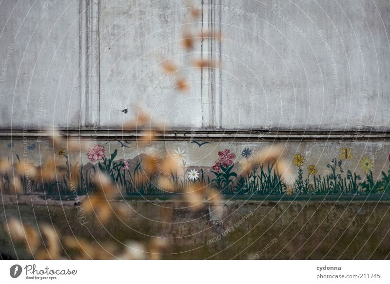 Frühling im Herbst Lifestyle Häusliches Leben Architektur Mauer Wand Fassade Dekoration & Verzierung ästhetisch Design Einsamkeit geheimnisvoll Idee einzigartig