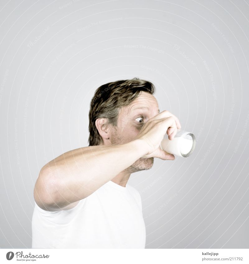 milchbubi Milcherzeugnisse Getränk trinken Glas Kopf Arme Hand Finger 1 Mensch 30-45 Jahre Erwachsene weiß Vitamin grundnahrungsmittel Gesundheit Durst durstig