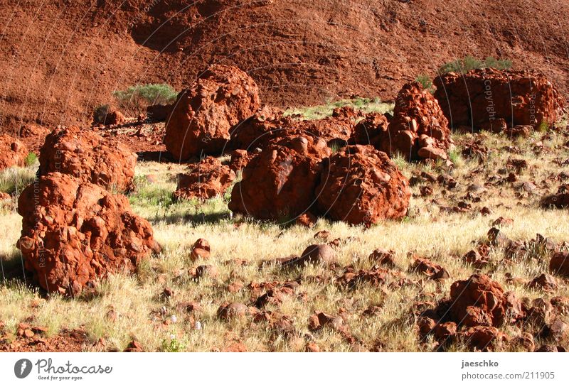 Red Planet Landschaft Urelemente Erde Wärme Dürre Gras Steppe Stein heiß wild rot bizarr Surrealismus Geröll Bruchstück Kata Tjuta Outback Marslandschaft
