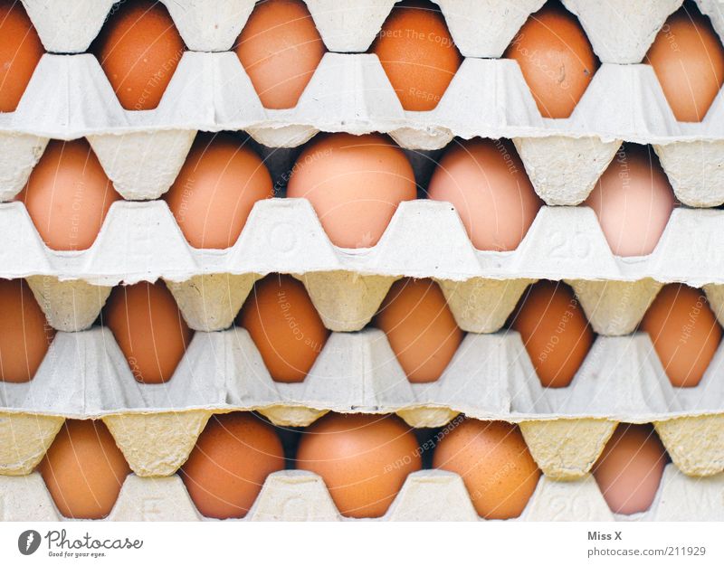 Eier Lebensmittel Ernährung rund Eierkarton Karton Stapel Farbfoto Nahaufnahme Muster Menschenleer Ware Tag