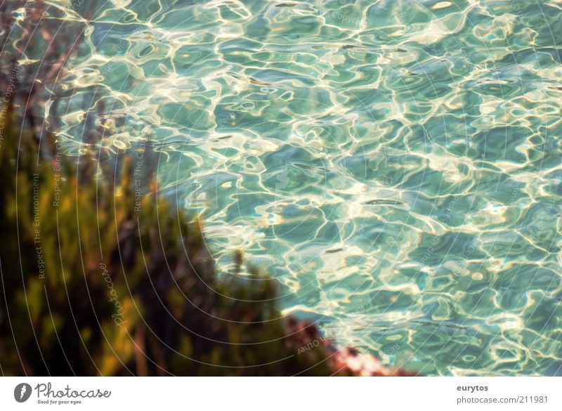 am Meer Umwelt Natur Landschaft Wasser Sommer Klima Wetter Schönes Wetter Küste mediterran Mallorca türkis Farbfoto Außenaufnahme Textfreiraum rechts Tag