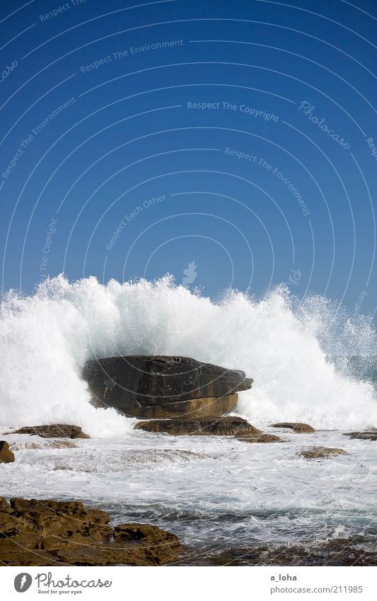 110 Sommer Strand Urelemente Wasser Wolkenloser Himmel Schönes Wetter Felsen Wellen Küste Meer Bewegung groß hoch nass wild blau Kraft Australien Bondi Beach