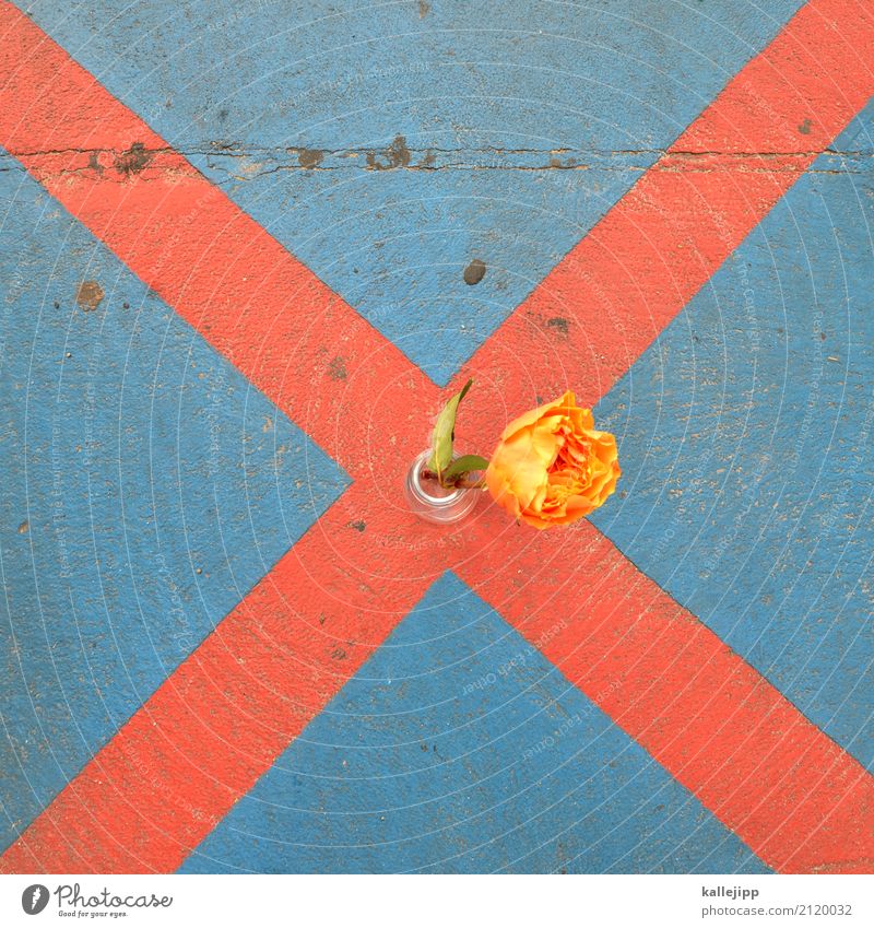 flowerx Blume Zeichen Verkehrszeichen blau mehrfarbig gelb orange rot Parkverbot Vase Zielkreuz planen nachhaltig achtsam Farbfoto Außenaufnahme Tag