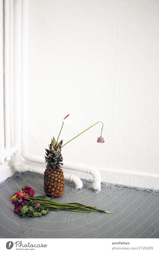 Ananas für den Künstler Frucht Ernährung Essen Lifestyle Häusliches Leben Raum Atelier Heizung Heizkörper Heizungsrohr Geschenk Ziel Ausstellung