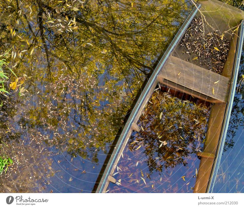 herbstlicher Bootsausflug Wasser Herbst Baum Blatt Seeufer Flussufer Moor Sumpf Teich Bach Bootsfahrt Fischerboot Ruderboot blau braun mehrfarbig gelb träumen