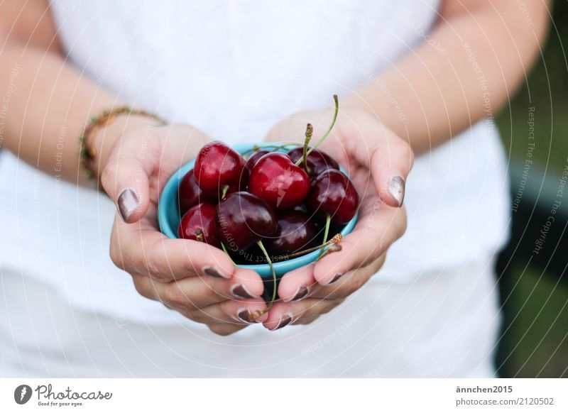 Kirschen II Hand Schalen & Schüsseln türkis rot festhalten Finger Sommer Gesunde Ernährung Speise Essen Foodfotografie Gesundheit Frucht grün weiß Nagel
