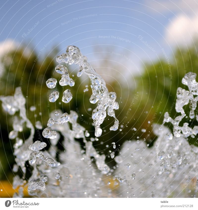 jumpin`water . . . Umwelt Urelemente Wasser Wassertropfen Bewegung fallen springen Flüssigkeit glänzend kalt nass natürlich Sauberkeit Gefühle Leichtigkeit rein