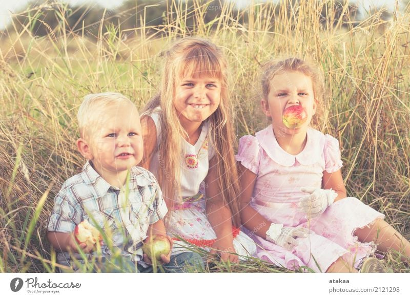 Glücklicher Bruder und zwei Schwestern, die im Park zur Tageszeit spielen. Apfel Lifestyle Freude schön Freizeit & Hobby Spielen Ferien & Urlaub & Reisen Sommer