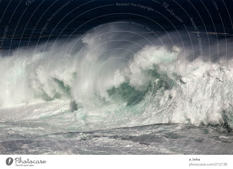 big wave surfing Ferne Natur Urelemente Wasser Sommer Klima Wellen Küste Meer außergewöhnlich bedrohlich Flüssigkeit gigantisch kalt nass Geschwindigkeit Kraft
