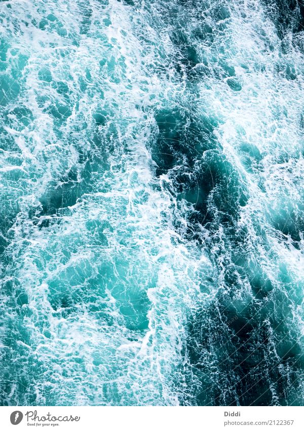 Wasser Umwelt Natur Wassertropfen Sommer blau türkis Farbfoto Außenaufnahme Tag Vorderansicht
