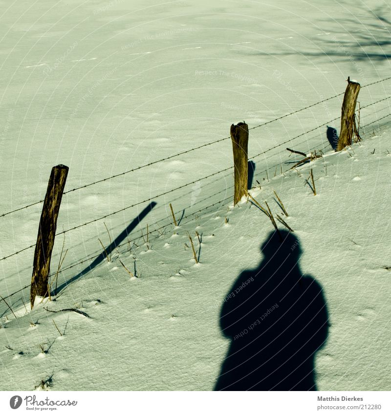 Winter Klimawandel Wetter Schönes Wetter Eis Frost Schnee ästhetisch Mensch Fotografieren Weide Wiese Zaun Zaunpfahl Selbstportrait wandern Freizeit & Hobby