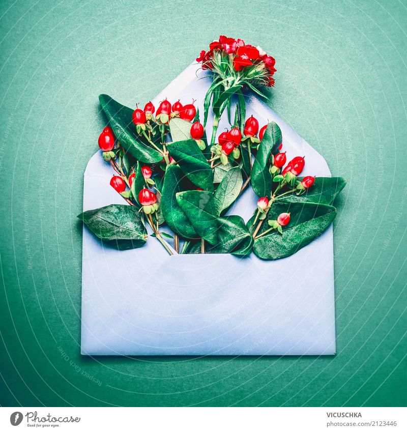 Geöffnete Brief Umschlag mit roten Herbst Beeren und Zweige Stil Design Erntedankfest Natur Pflanze Papier Liebe gelb arrangiert Mitteilung Briefumschlag