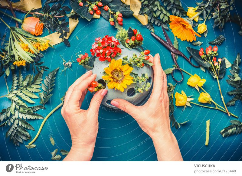 Weibliche Hände machen Herbst Blumen Deko Lifestyle Stil Design Freizeit & Hobby Häusliches Leben Innenarchitektur Dekoration & Verzierung Feste & Feiern