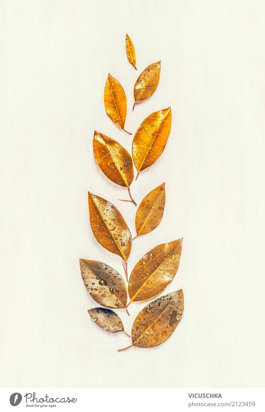 Goldene Herbst Blätter Lifestyle Stil Design Sommer Natur Pflanze Blatt Dekoration & Verzierung Zeichen gelb gold Composing Farbfoto Innenaufnahme