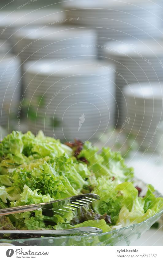 Unangetastet Lebensmittel Salat Salatbeilage Ernährung Büffet Brunch Festessen Geschirr Teller Schalen & Schüsseln Besteck frisch Gesundheit lecker grün weiß