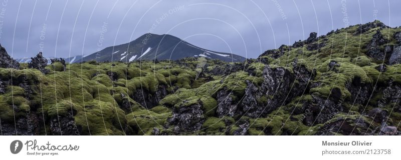 Mystical Landscape Umwelt Natur Landschaft Pflanze Moos Hügel Felsen Alpen Berge u. Gebirge grün mystisch Lavafeld Island Farbfoto Gedeckte Farben Außenaufnahme