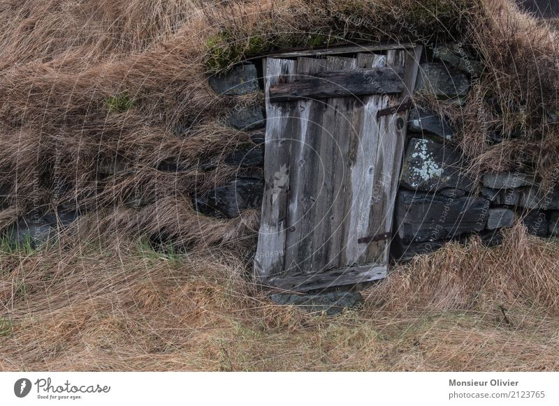 Alte Frau auf Island Landschaft Gras Wiese braun Bauernhof Romantik alt Unbewohnt Holz Tür Neigung Der kleine Hobbit Farbfoto Außenaufnahme