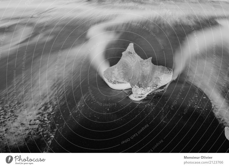 Eis am Strand Frost Wellen Küste ästhetisch abstrakt Bewegung Eisberg Island Gletscher Meer Schwarzweißfoto Menschenleer Kontrast schwarz