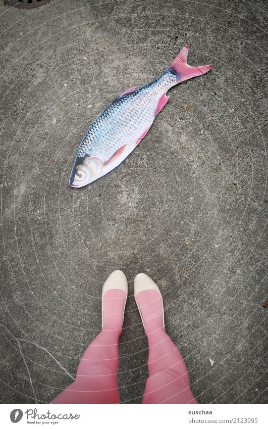 fisch an land Fisch Attrappe Papier falsch Surrealismus seltsam Beine Fuß Schuhe Strümpfe stehen Außenaufnahme weiblich Straße rosa