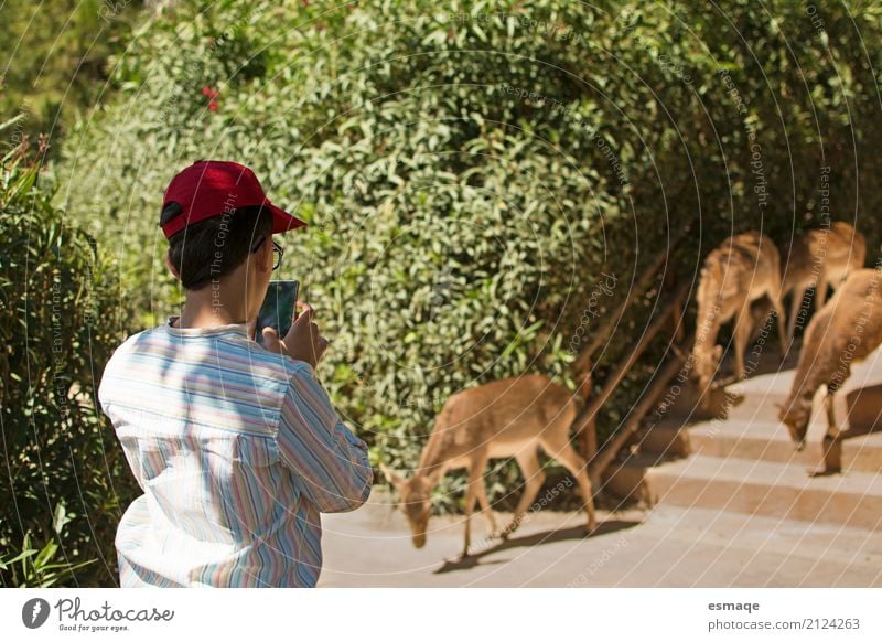 Kind in der Natur Lifestyle Ferien & Urlaub & Reisen Tourismus Abenteuer Safari Sommer Sommerurlaub Junge Kindheit 8-13 Jahre Zoo Umwelt Hut Tier Haustier 4