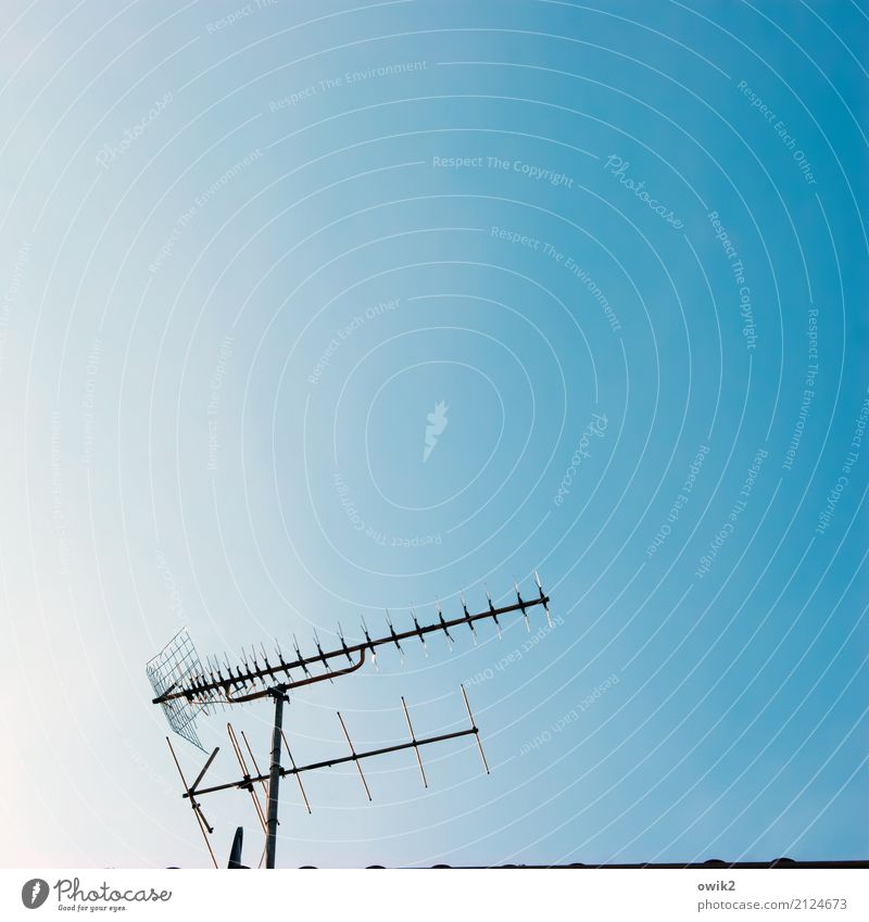 Ich sehe nichts Informationstechnologie Antenne Fernsehen Empfang empfangsbereit Empfangsstation Wolkenloser Himmel Metall dünn authentisch einfach fest oben