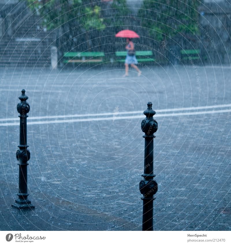 Sommerregen 1 Mensch Wasser Wassertropfen schlechtes Wetter Unwetter Regen Gewitter Stadt gehen nass grau grün rot Regenschirm Platz Kopfsteinpflaster Poller