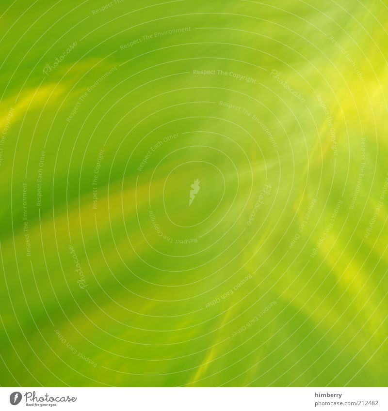 grüngelblich Werbebranche Kunst Kunstwerk Umwelt Natur Pflanze Frühling Sommer Grünpflanze Design Farbe Frieden Klima Surrealismus grün-gelb Farbfoto mehrfarbig