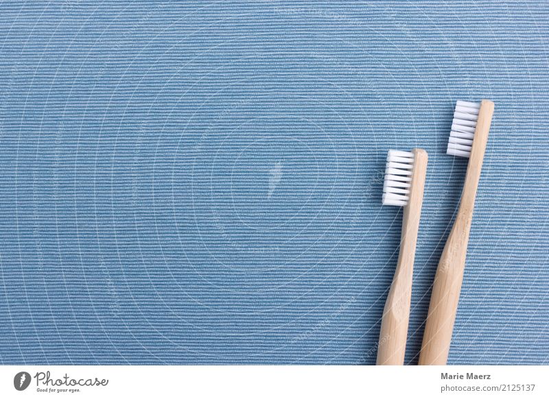 Zahnbürsten schön Körperpflege Gesundheit Reinigen leuchten frisch nachhaltig Sauberkeit blau weiß Tugend Lebensfreude Gesundheitswesen Stillleben Bad Holz