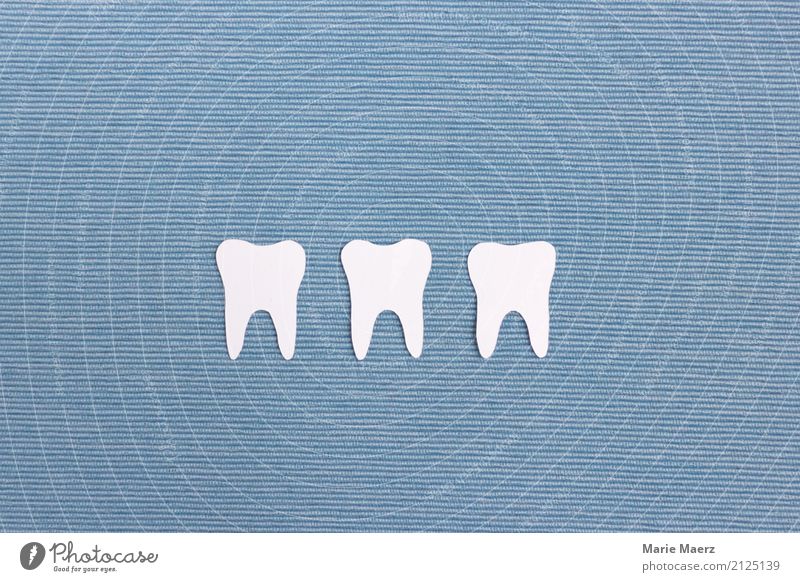 Weiße Zähne schön Gesundheit glänzend Reinigen frisch Sauberkeit blau weiß Reinlichkeit Gesundheitswesen Zahnpflege Zahnreinigung 3 Wurzeln Farbfoto