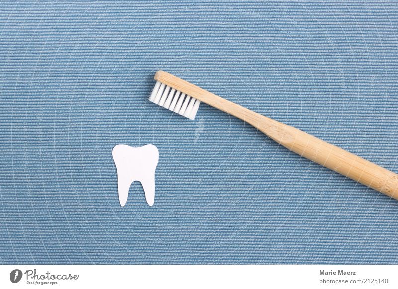 Zahnpflege Körperpflege Gesundheit Zahnbürste Reinigen ästhetisch glänzend nachhaltig Sauberkeit blau weiß Reinlichkeit Gesundheitswesen Zahnreinigung Zahnarzt