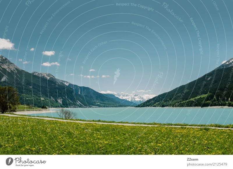 Reschensee Natur Landschaft Sonne Sommer Schönes Wetter Wiese Alpen Berge u. Gebirge Schneebedeckte Gipfel See frisch blau grün Einsamkeit Erholung Farbe Idylle