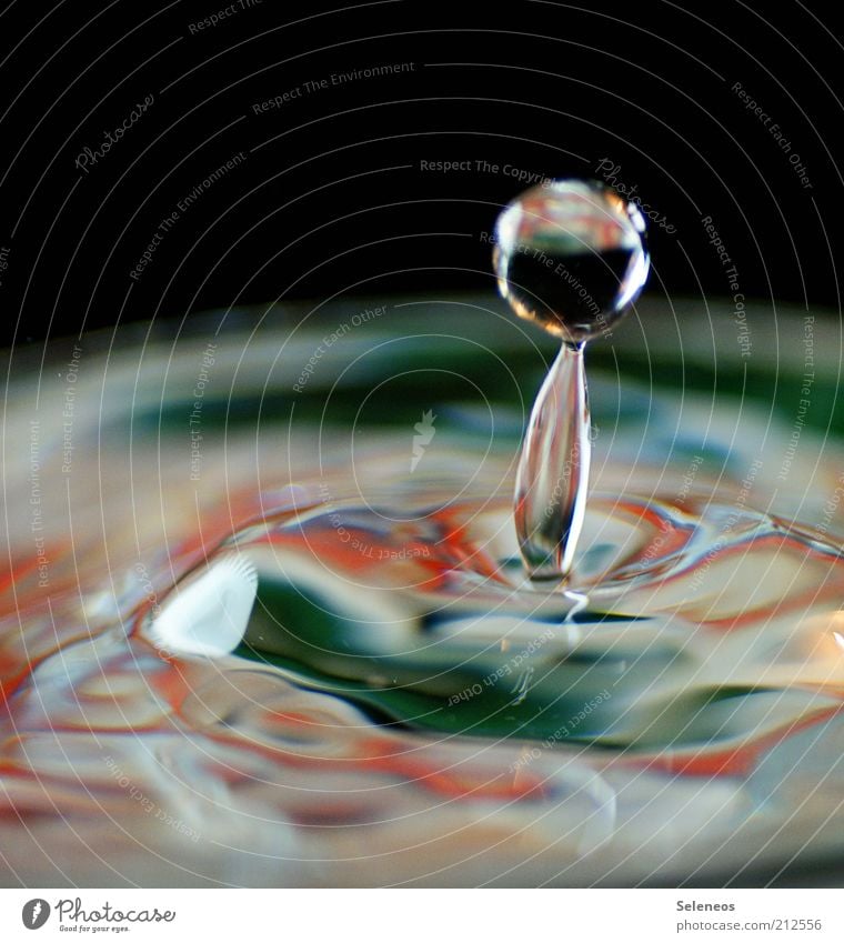 tropfnass Trinkwasser Wasser Wassertropfen Tropfen Bewegung Flüssigkeit frisch klein natürlich rund Sauberkeit Geschwindigkeit einzigartig rein Farbfoto