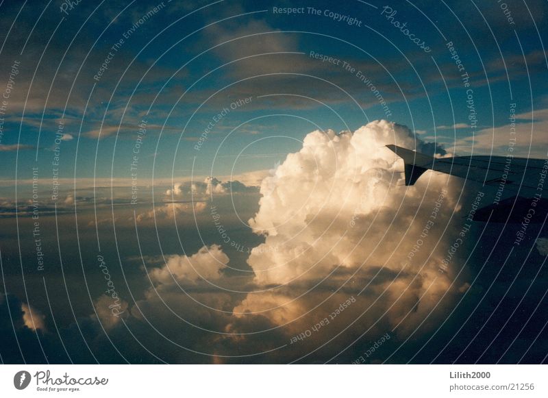 Fly away Wolken Horizont Luftverkehr Himmel Sonne Ferien & Urlaub & Reisen