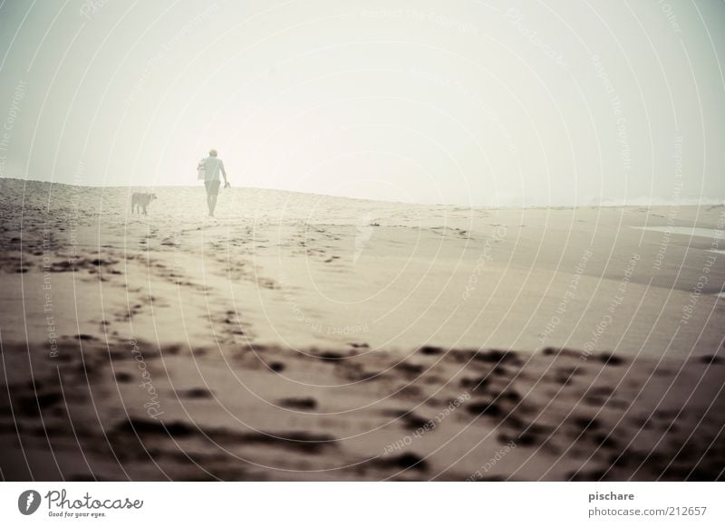 Mann mit Hund im Nebel maskulin Erwachsene 1 Mensch Sommer schlechtes Wetter Strand Meer gehen trist Gefühle ruhig Einsamkeit Partnerschaft Außenaufnahme