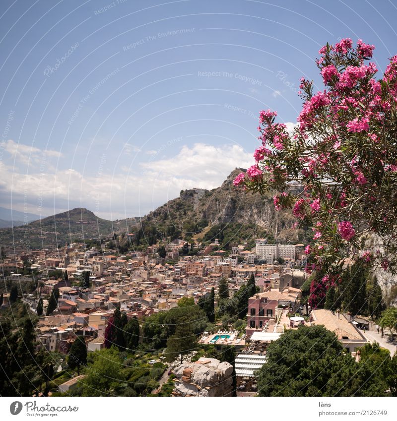 Taormina Himmel Blüte Grünpflanze Berge u. Gebirge Stadt Altstadt Schwerpunkt Farbfoto Textfreiraum oben
