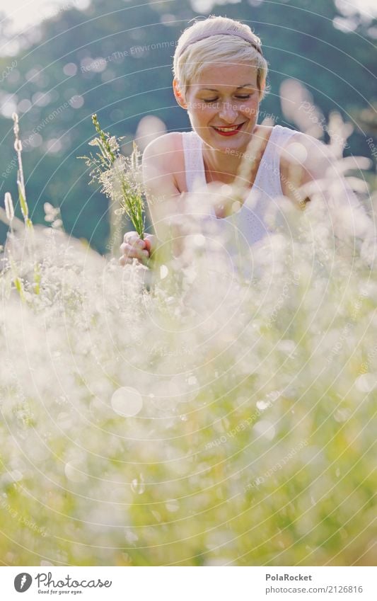 #A# Wilde Wiese Freizeit & Hobby Kunst ästhetisch Gras Sammlung Wiesenblume Außenaufnahme Sommer Park pflücken Frau Junge Frau Feld lachen Lächeln Natur