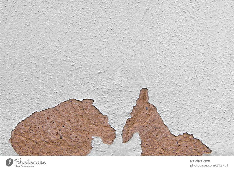 Wandgeflüster Freundschaft Paar Haus Mauer Tier Wildtier Pferd 2 Stein Zeichen Kommunizieren Blick außergewöhnlich kaputt braun weiß Gedeckte Farben