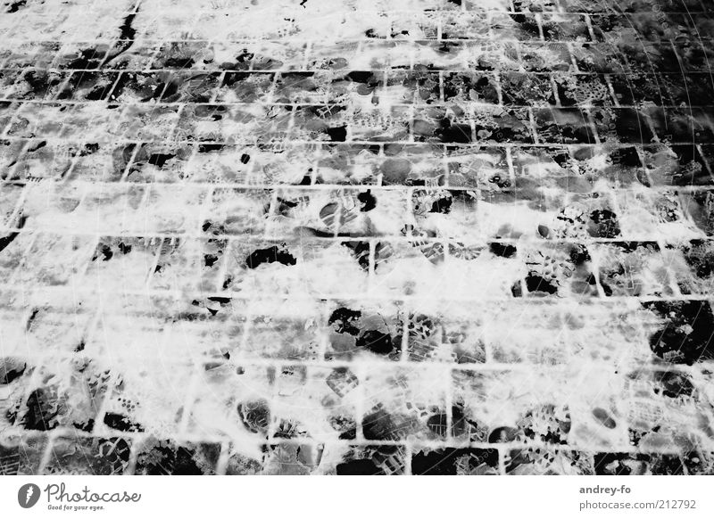 Spuren im ersten Schnee. Winter Eis Frost Straße Wege & Pfade Stein gehen eckig nass grau schwarz weiß Pflastersteine Pflasterweg kalt Rutschgefahr