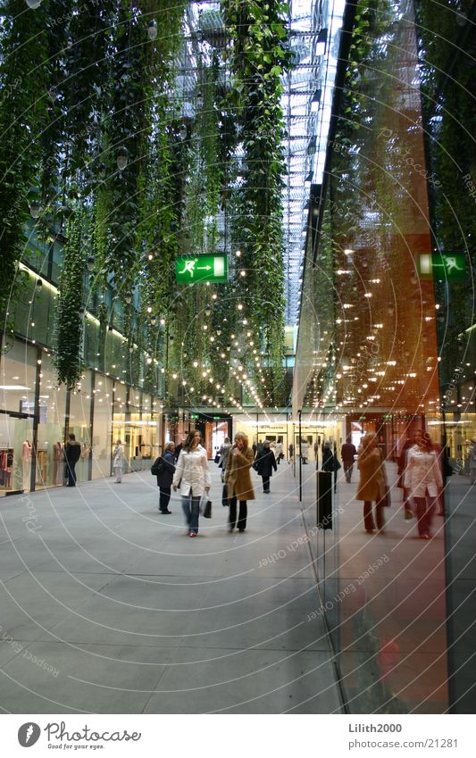 Fünf Höfe München Stadtzentrum Mensch Fußgänger kaufen grün Liane Reflexion & Spiegelung Architektur Glas Gang